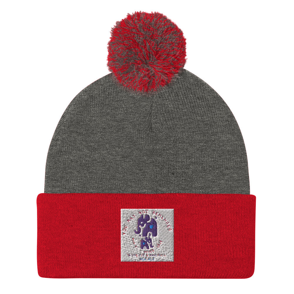 Alzheimer's Awareness Beanie
